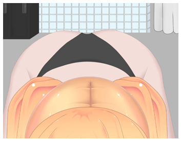image of Maiko Virtual BJ Loop